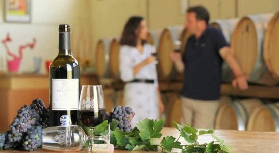Frankreichs Südwesten - Für Weinliebhaber ein Eldorado - On Tour mit Michael Gliss