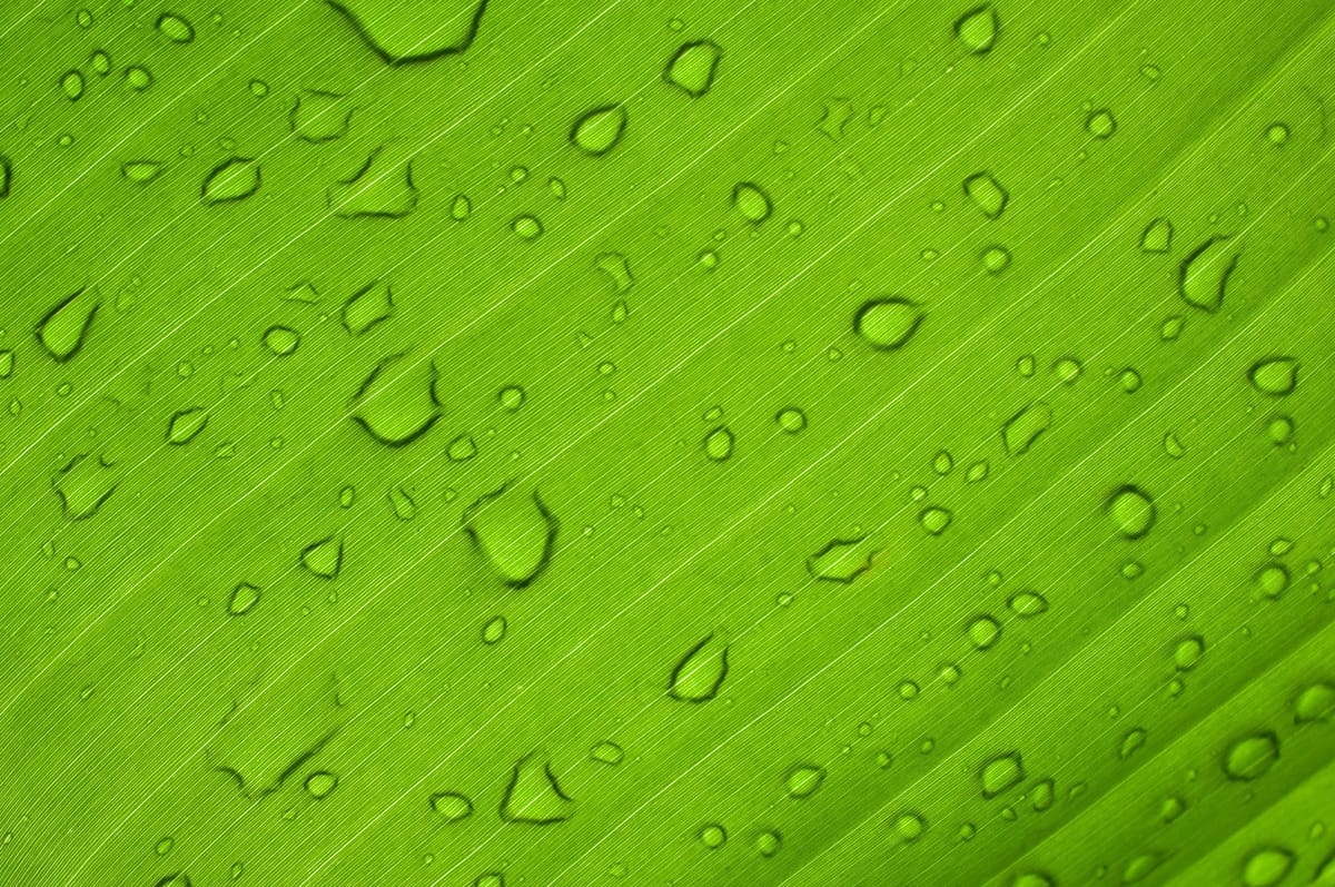 Die Zukunft der Gemeinschaftsverpflegung – Massive Investitionen in moderne Technik – GV-Barometer 2014: 60% der Kantinenbetreiber planen größere Investitionen